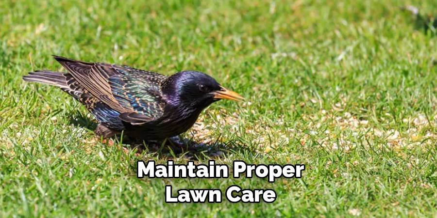 Maintain Proper Lawn Care