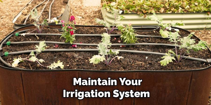 Maintain Your Irrigation System