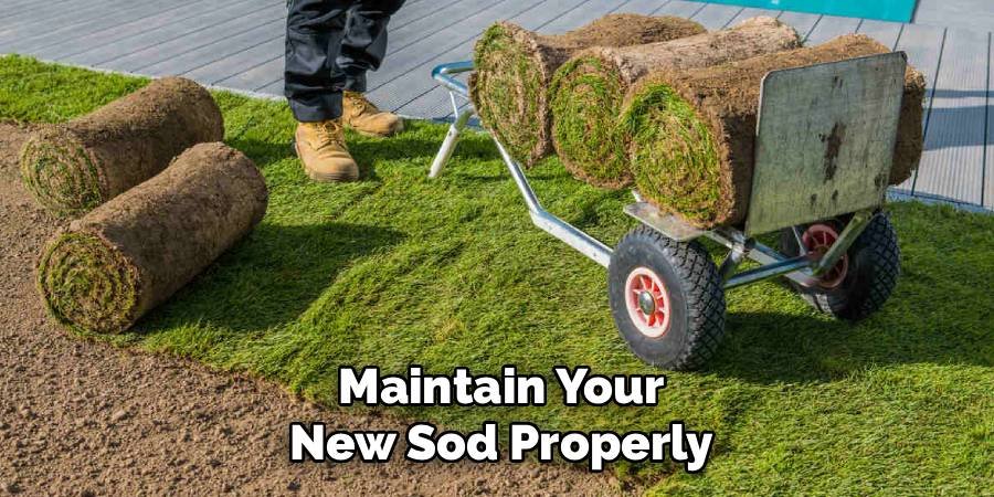 Maintain Your New Sod Properly