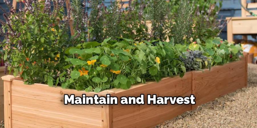 Maintain and Harvest