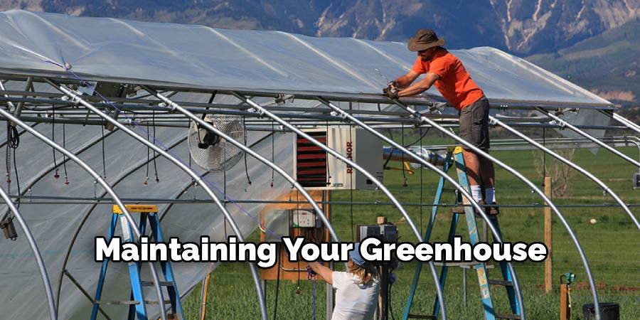 Maintaining Your Greenhouse