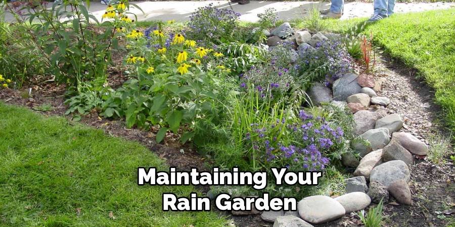 Maintaining Your Rain Garden