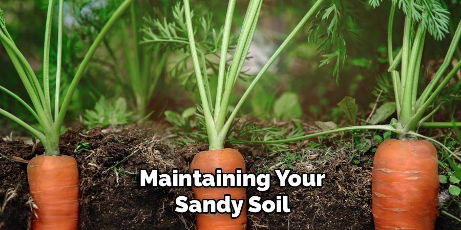 Maintaining Your Sandy Soil