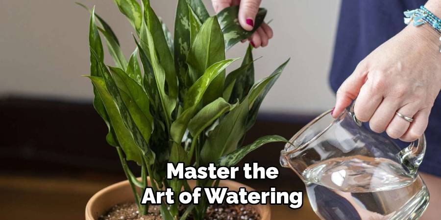 Master the Art of Watering