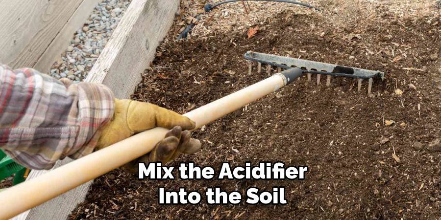 Mix the Acidifier into the Soil