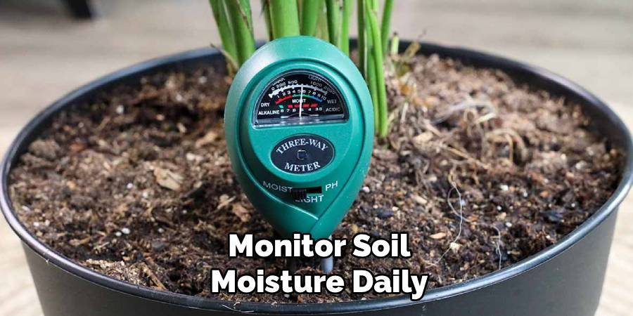 Monitor Soil Moisture Daily