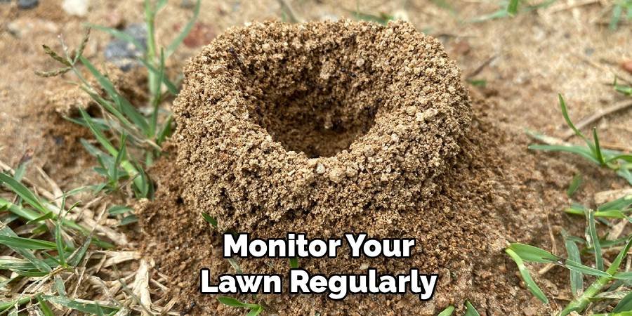 Monitor Your Lawn Regularly