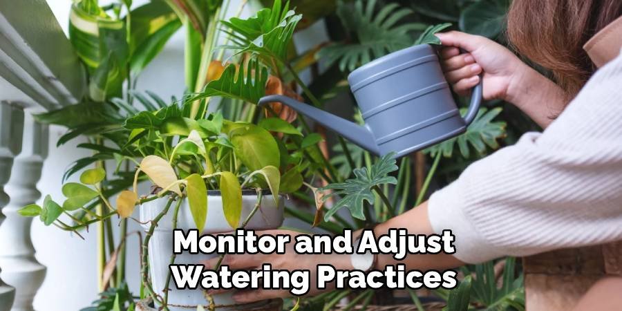 Monitor and Adjust Watering Practices