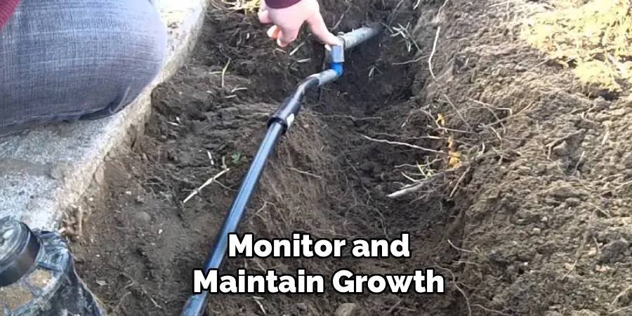 Monitor and Maintain Growth