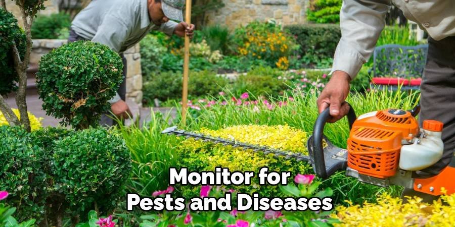 Monitor for Pests and Diseases