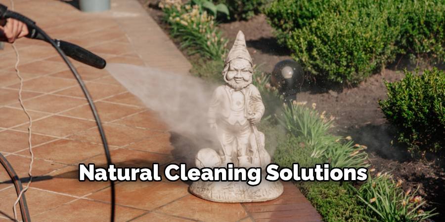 Natural Cleaning Solutions