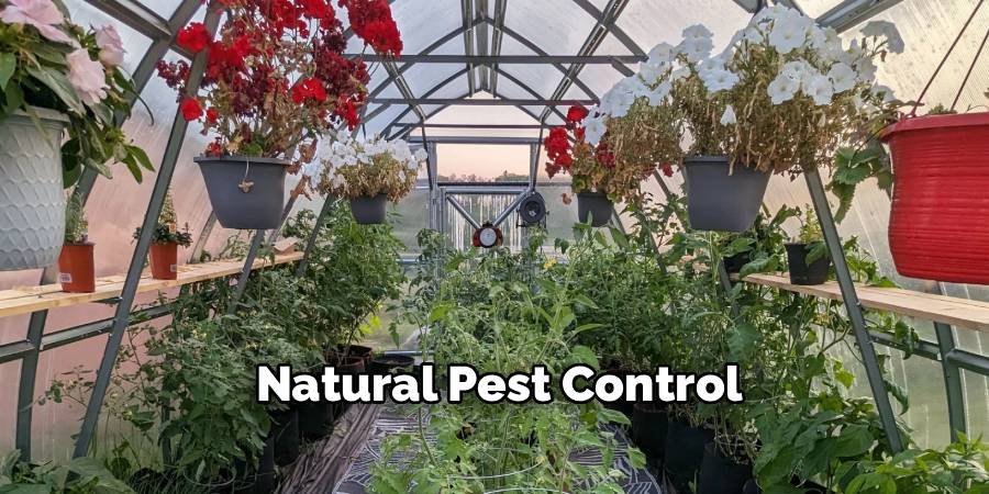 Natural Pest Control