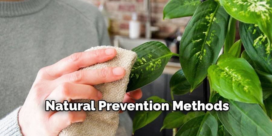 Natural Prevention Methods