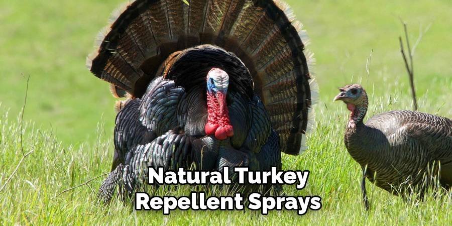 Natural Turkey Repellent Sprays