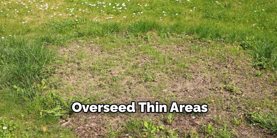 Overseed Thin Areas