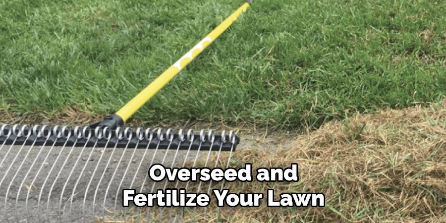 Overseed and Fertilize Your Lawn
