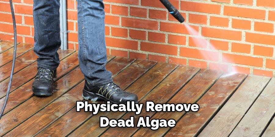 Physically Remove Dead Algae