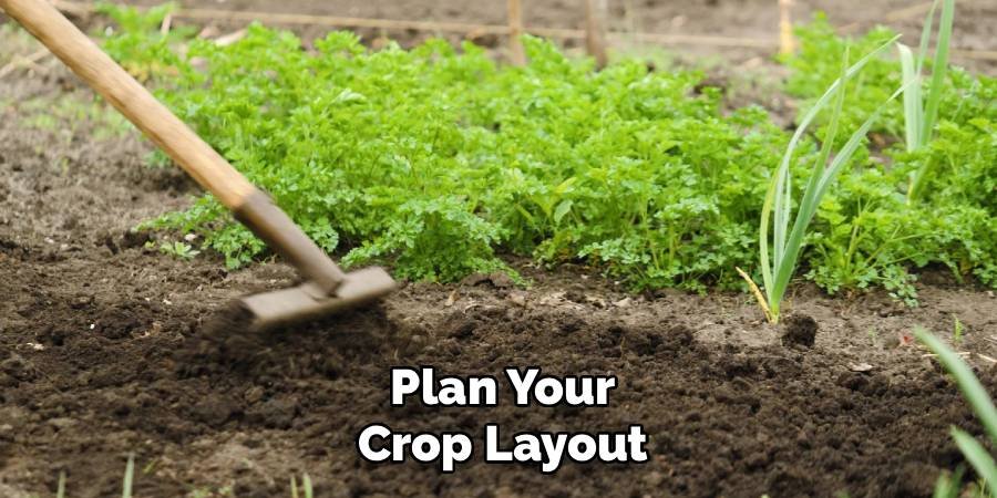 Plan Your Crop Layout