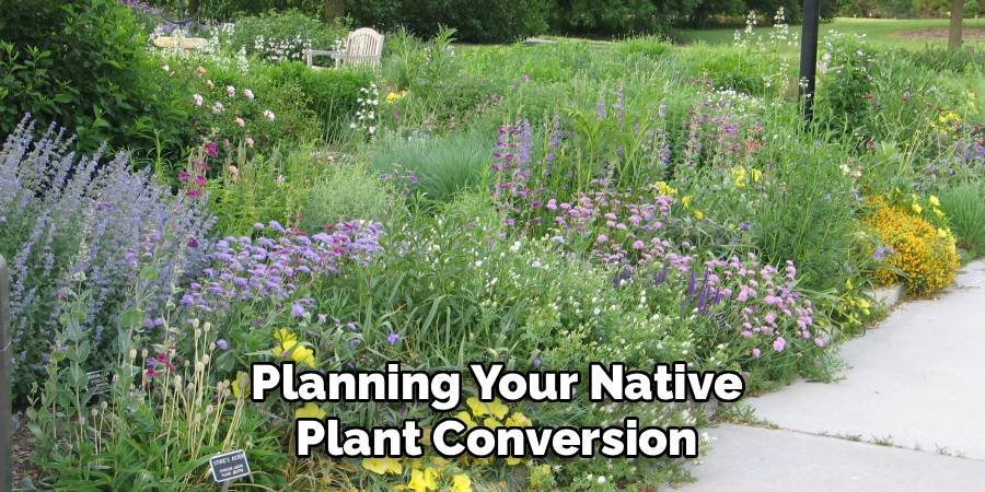 Planning Your Native Plant Conversion