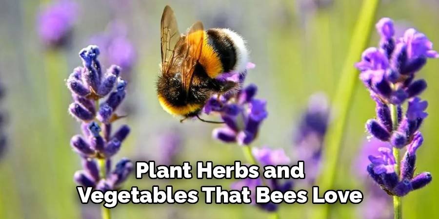Plant Herbs and Vegetables That Bees Love
