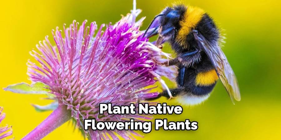 Plant Native Flowering Plants