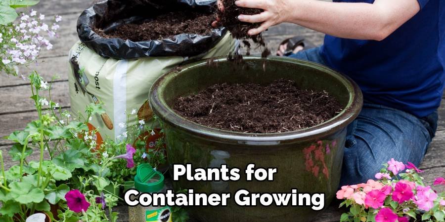 Plants for Container Growing