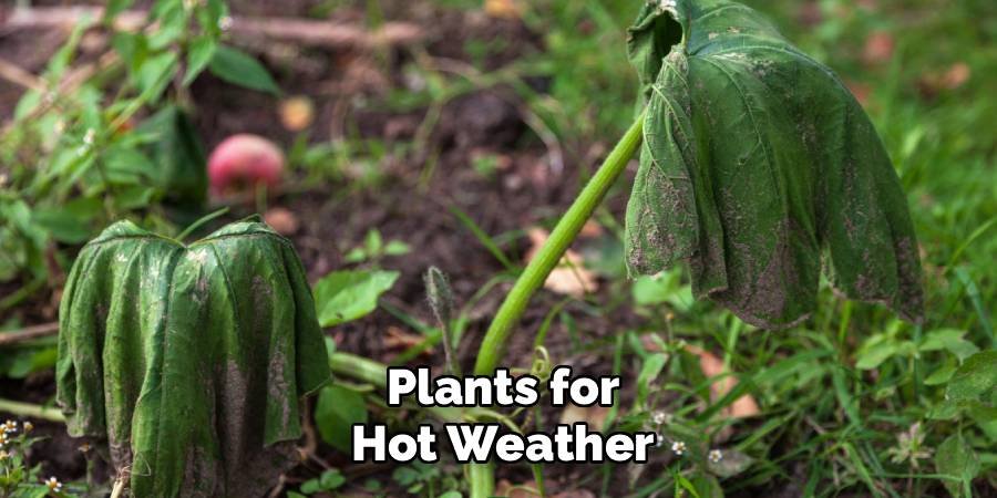 Plants for Hot Weather