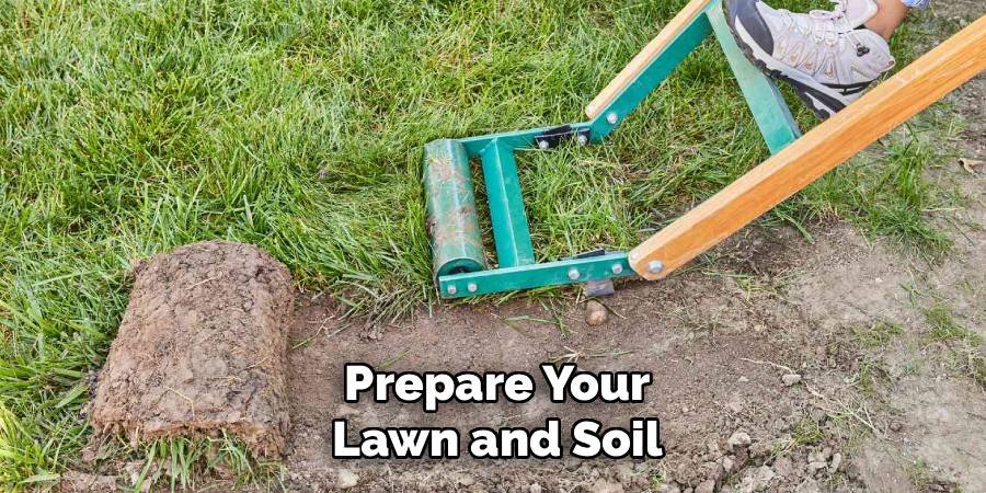 Prepare Your Lawn and Soil