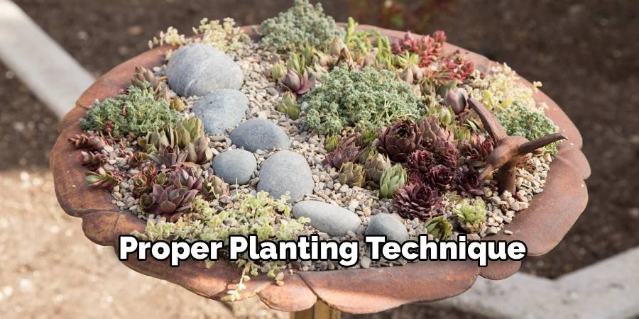 Proper Planting Technique