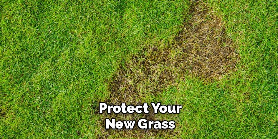 Protect Your New Grass