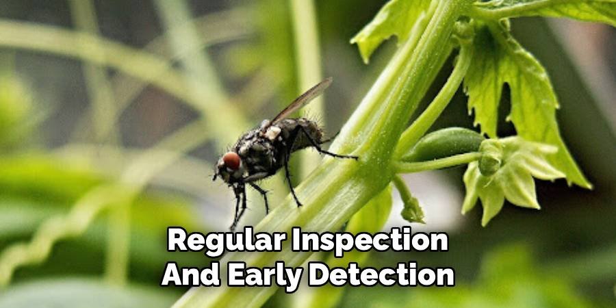 Regular Inspection and Early Detection