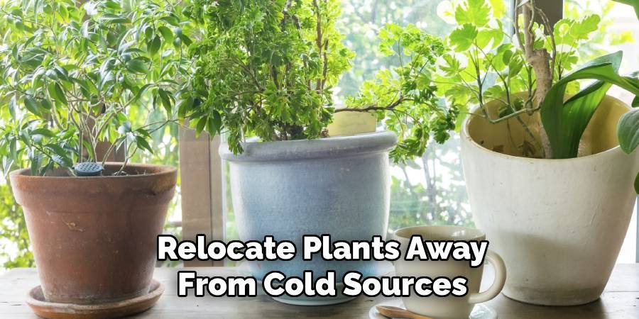 Relocate Plants Away from Cold Sources