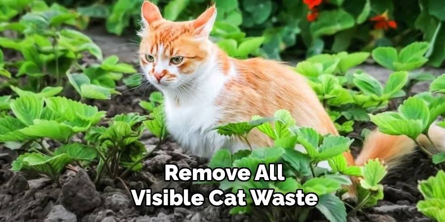 Remove All Visible Cat Waste