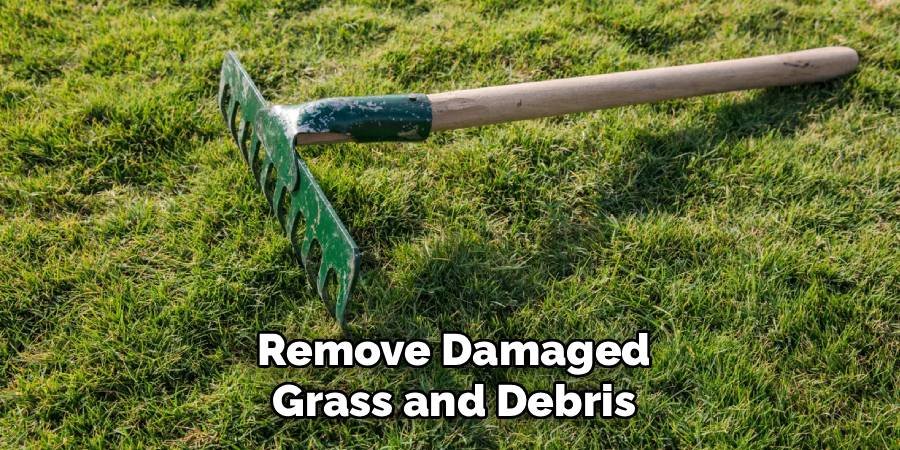 Remove Damaged Grass and Debris