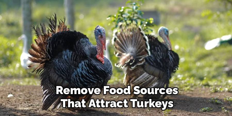 Remove Food Sources That Attract Turkeys