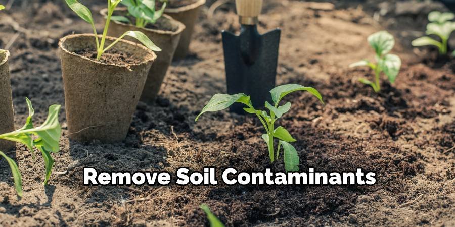 Remove Soil Contaminants