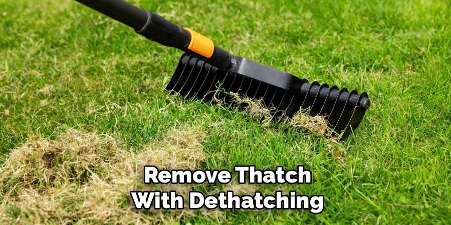 Remove Thatch with Dethatching