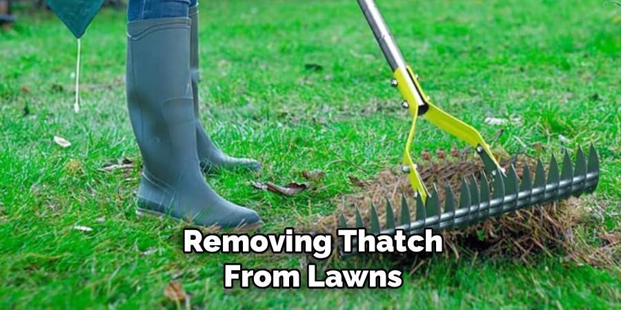 Removing Thatch from Lawns