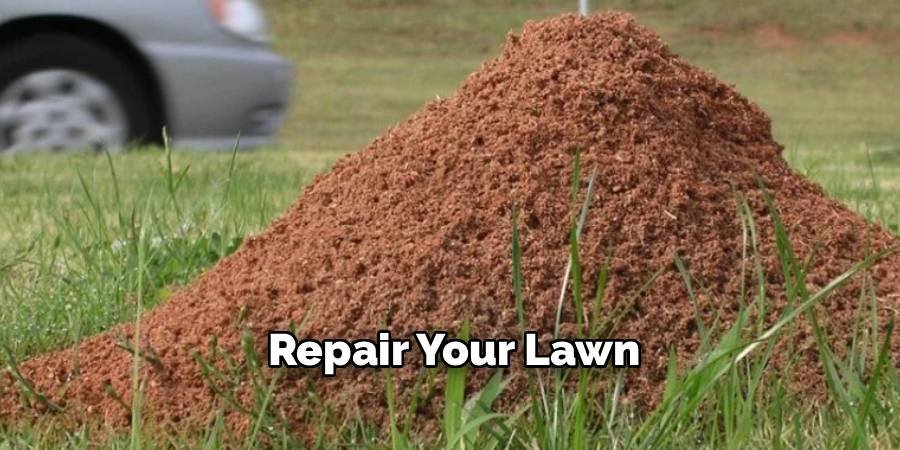 Repair Your Lawn