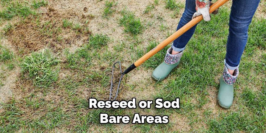 Reseed or Sod Bare Areas