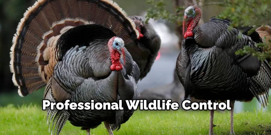 Professional Wildlife Control