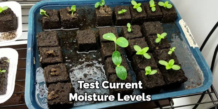 Test Current Moisture Levels