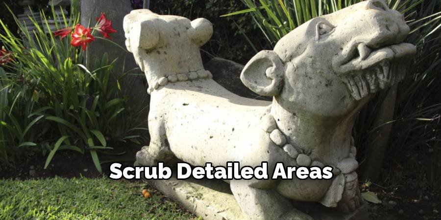 Scrub Detailed Areas