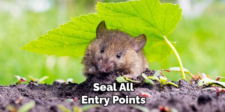 Seal All Entry Points