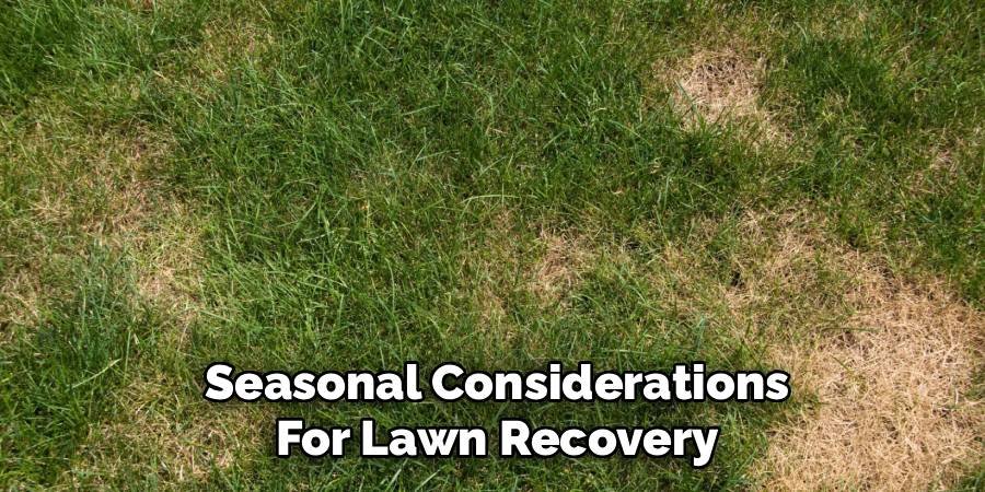 Seasonal Considerations For Lawn Recovery