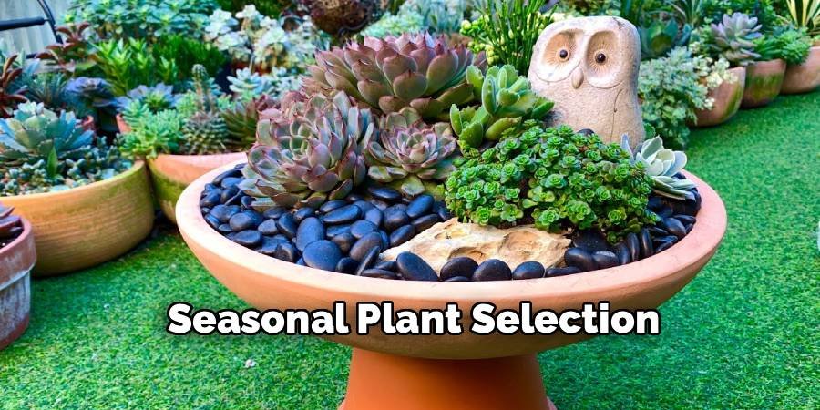Seasonal Plant Selection