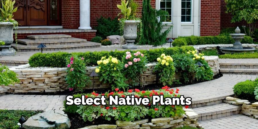 Select Native Plants