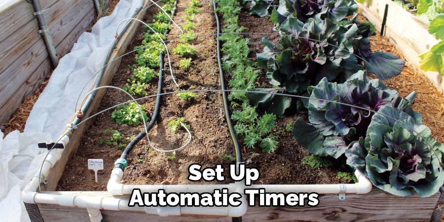 Set Up Automatic Timers