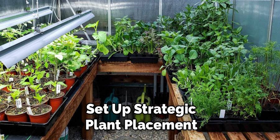 Set Up Strategic Plant Placement