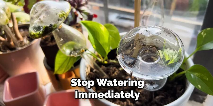 Stop Watering Immediately